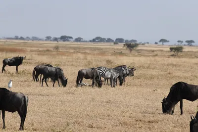 DSC_3404 (Large).JPG